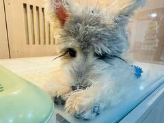 -乐宠宠物店(世纪金源店)