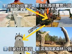 -日照海滨国家森林公园