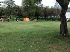 -飞来湖湿地公园