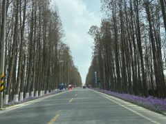 -宁波市保国寺古建筑博物馆