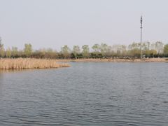 -永定河休闲森林公园