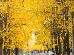 -四川大学(望江校区)