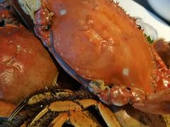 -银帆宾馆-自助餐厅(金马路店)