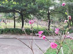 -桃花涧