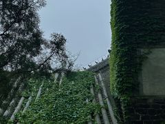-蓬莱阁景区