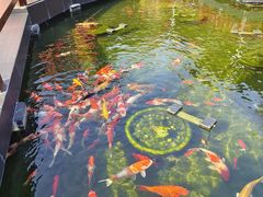 -濮园 · 四合院餐厅
