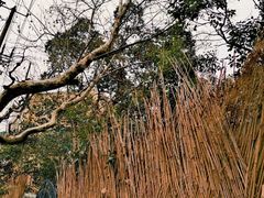 -云南路美食街