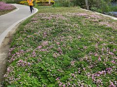 -白鹭湾湿地公园