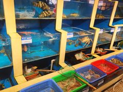 -鹰龙海畔度假酒店(咸祥店)