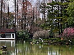 -杭州植物园
