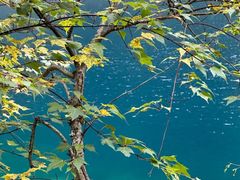 -叠溪松坪沟景区