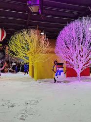 -圣名游乐城冰雪大世界