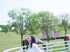 -紫颐香薰山谷景区