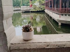 -MAP CHA普洱茶馆(翠湖店)