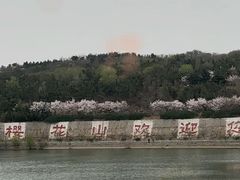 -樱花山风景区