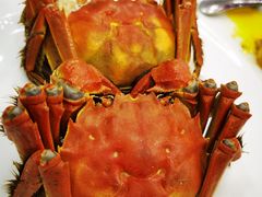 -王宝和酒家(黄浦店)