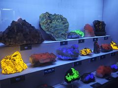 -湖南省地质博物馆