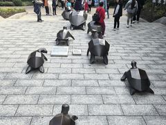 -广东惠东海龟国家级自然保护区