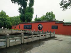 -百脉泉景区