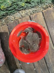 -钓虾工场·钓虾·赶海(回龙观店)