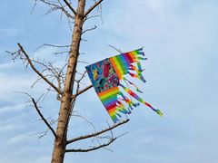 -洋湖国家湿地公园