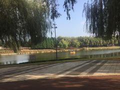 -羊亭河湿地公园