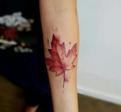 -花刺纹身TaTToo