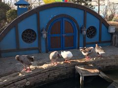 -南宫五洲植物乐园