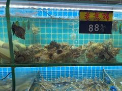 -覃记海鲜美食餐厅