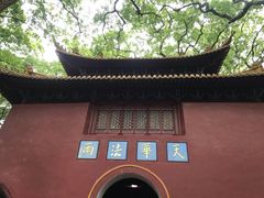 -普陀山风景名胜区-法雨禅寺