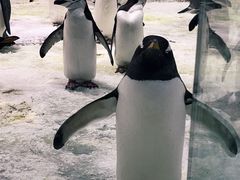 -大连圣亚海洋世界