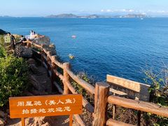 -杨梅坑