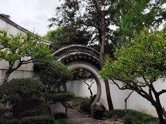 -秋霞圃