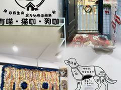 -有喵·猫咖·狗咖·40+猫狗有小奶狗(岗厦店)