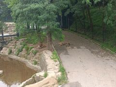 -大连森林动物园