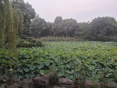 -无锡动物园·太湖欢乐园