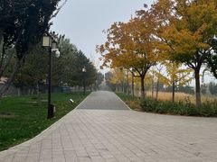-西海子公园