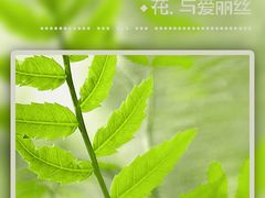 -青水瓦台(青山店)