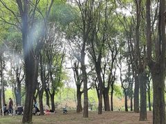 -洨河生态公园