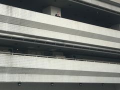-香港大学