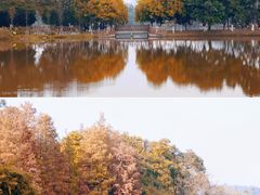 -番禺大夫山森林公园