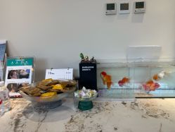 -嘉德安美医疗美容·美学抗衰中心