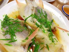 清蒸花雕鱼-苏记农家菜馆