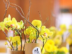 -青城山六善酒店·紫氣園中餐厅