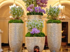 -Salon de Ville浦江汇(上海外滩华尔道夫酒店店)