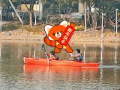 -新江湾城公园