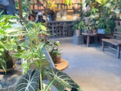 -自由生长植物工作室(深港花卉中心店)