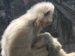 景点-昆明动物园