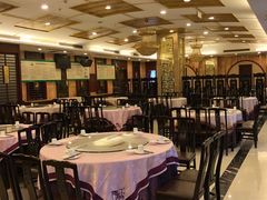 大堂-陶然居·重庆菜(解放碑店)