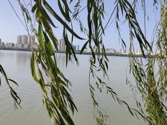 -艾溪湖湿地公园